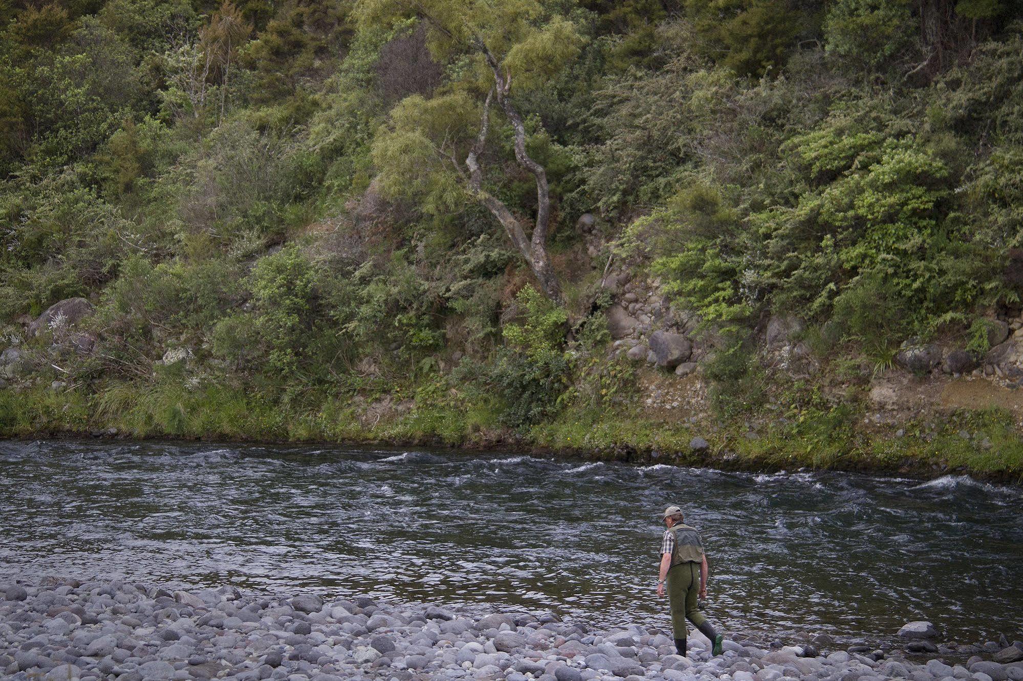 Turangi Trout Lodge מראה חיצוני תמונה