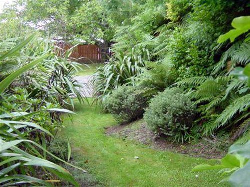 Turangi Trout Lodge מראה חיצוני תמונה